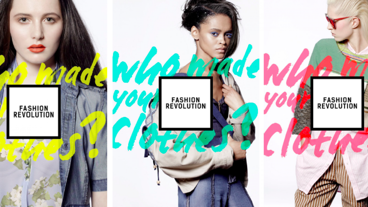 Exploring the Evolution of Clothing Brands with Yolo247 and Playinexch ...